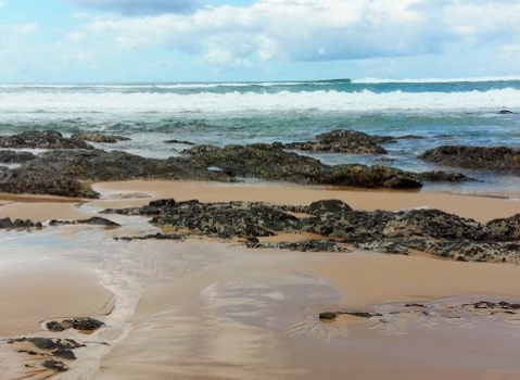 0 Bedroom Property for Sale in Mossel Bay Rural Western Cape